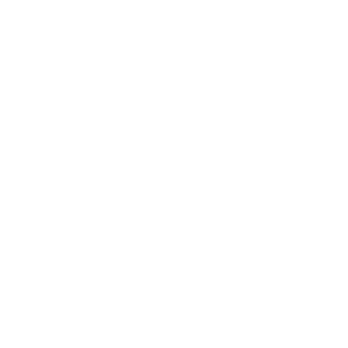 Shield Roofs Logo